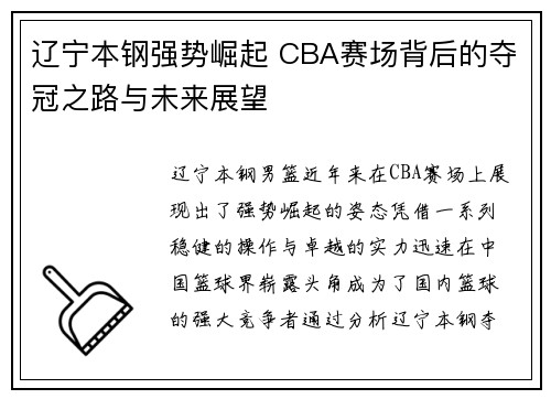 辽宁本钢强势崛起 CBA赛场背后的夺冠之路与未来展望