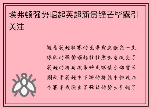 埃弗顿强势崛起英超新贵锋芒毕露引关注
