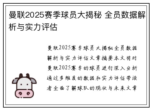 曼联2025赛季球员大揭秘 全员数据解析与实力评估
